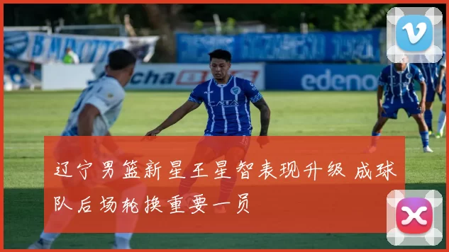 辽宁男篮新星王星智表现升级 成球队后场轮换重要一员