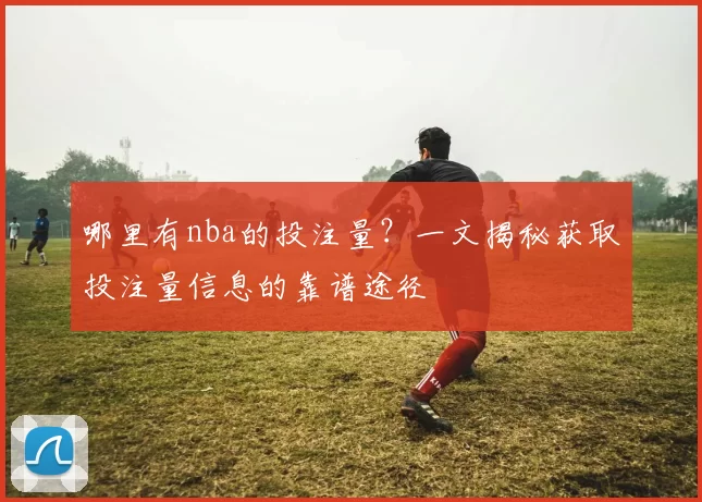 哪里有nba的投注量？一文揭秘获取投注量信息的靠谱途径